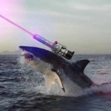 Mexico City Mess: Lasers on the Loose 