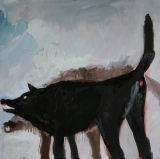 Runnin' with the Dogs