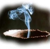 Giants Diary: Saving Partial Face vs the Blue Jays