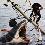 Mariners' Media Panic: Time to Fish or Cut Bait