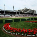 Boxing for the Roses