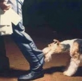 FC Bayern Edges into the Champions League Semi-Finals