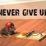 Manchester United Still Believes