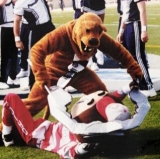 NCAA Week 8: Good Snark, Bad Snark