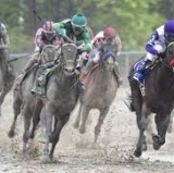 Pre-Preakness Freak Out Precedes Exaggerator's Mudfest