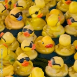 Lucky Duckies: Mariota Re-Ups