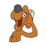 Seattle: A Good Dog to Have in the Fight