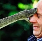 Giants Diary: SF Succumbs to Venomous D-backs