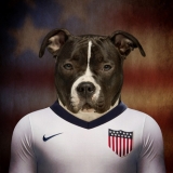 Soccer in the USA: An Underdog Story