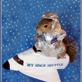 Houston, We STILL Have a Problem!