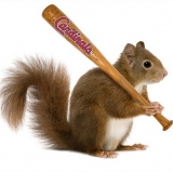 Cardinals Hope Rally Cat Is a Rally Squirrel Sequel