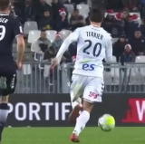 Looks Like Strasbourg Has an Actual Terrier