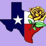 The AL West Looks Rosy DeepInTheHearta