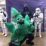 All-Time Snark Team: Toronto Blue Jays