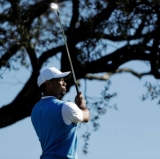 Tiger Doinks Tree, Kid, and Scorecard
