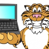 The Tigers Are a Betting Businessman's Special