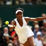Wimbledon: Venus Returns to the Final
