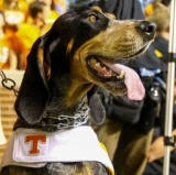 SEC's Soft Underbelly Is Really, Really Cushy