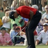 Biting the Big One: Tiger Fails Again