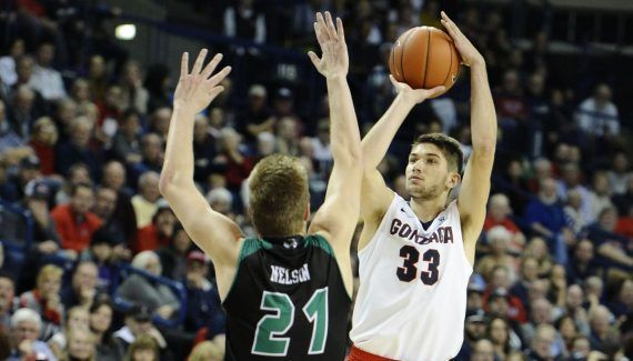 Zags' Tillie Has Ankle Surgery, Out 'til the New Year