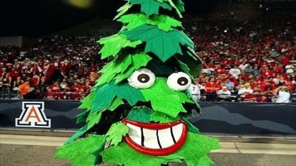 Wazzu Looks to Be Tree-mendous at Stanford